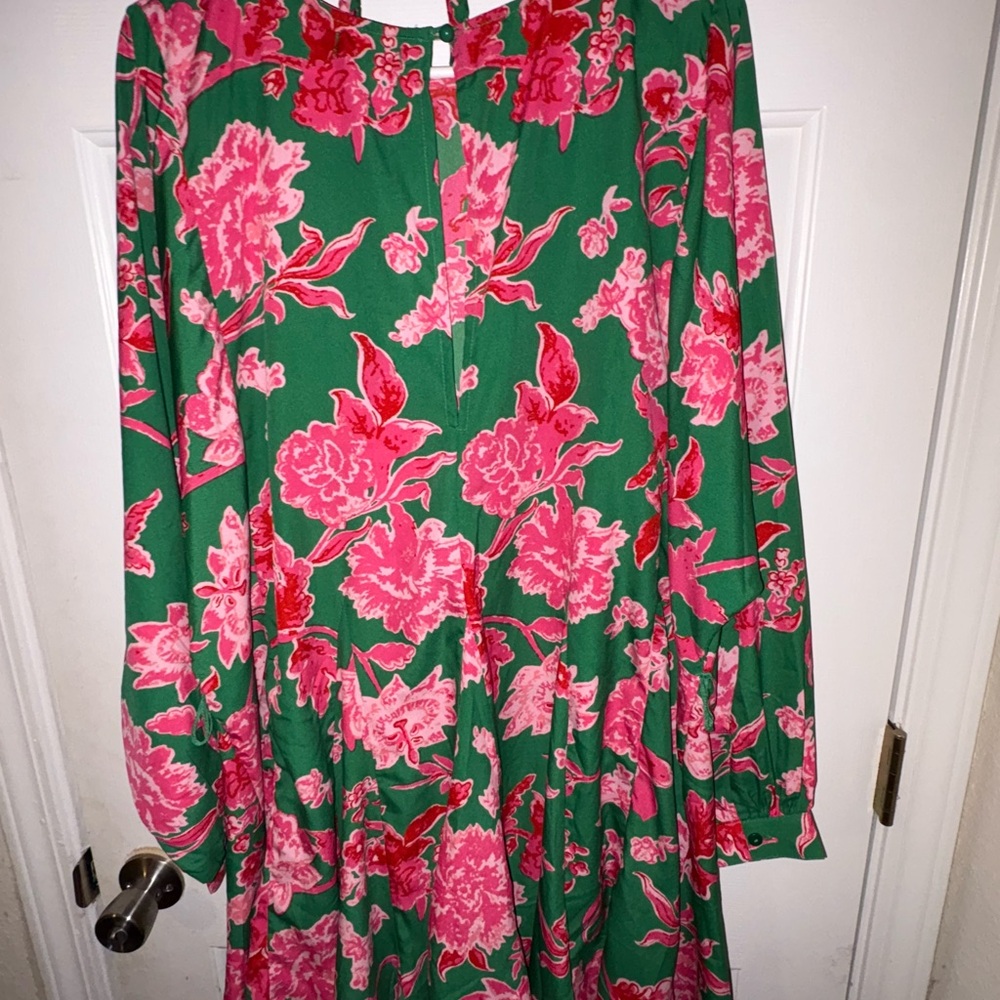 Boohoo Dress in Green and Pink Floral